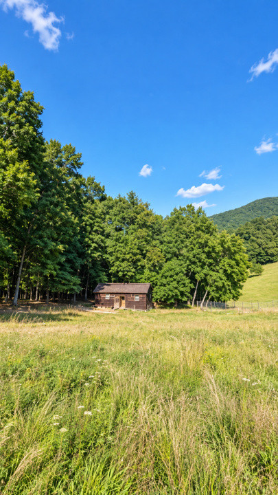 Vânzare teren extravilan pădure+ Pășune 17 000 mp Covasna