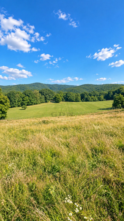 Vânzare teren extravilan pădure+ Pășune 17 000 mp Covasna