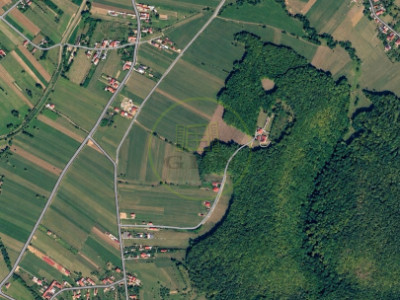 Vânzare teren extravilan cu specific industrial