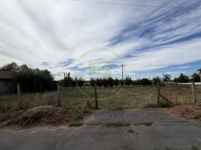 Teren intravilan, 800mp, Cernele, zona Strand Coloseum