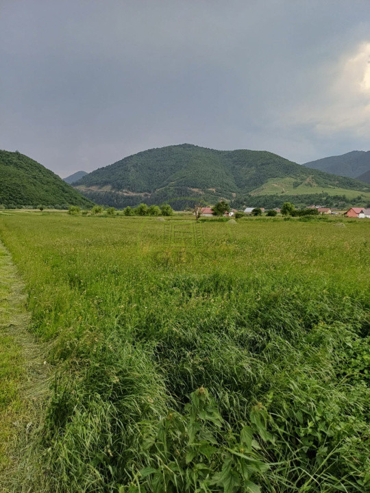 TEREN INTRAVILAN DE VÂNZARE – BOIȚA | 3.477 MP | LA DOAR 700 M DE NODUL RUTIER