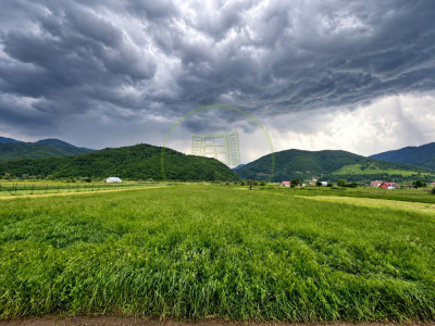 TEREN INTRAVILAN DE VÂNZARE – BOIȚA | 3.477 MP | LA DOAR 700 M DE NODUL RUTIER