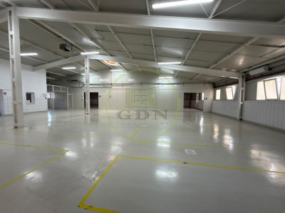 Hala industriala, 620 mp, Carcea, zona Ford