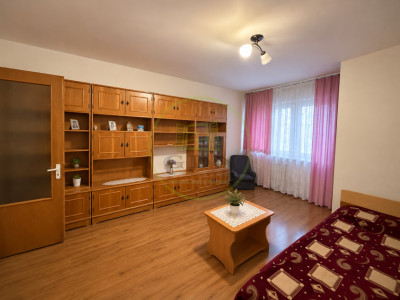Garsonieră, 30.7 mp, cartier Brazda lui Novac, zona CAS