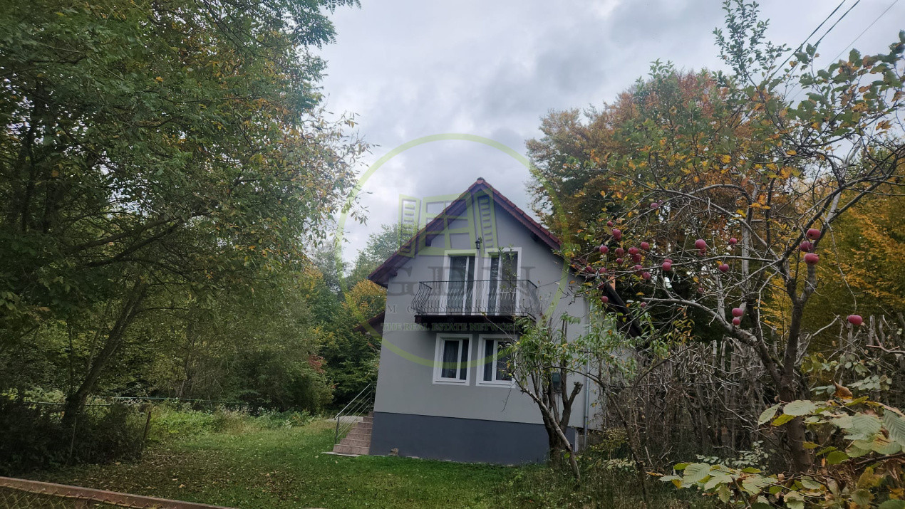 CASA DE VACANTA- VALEA AVRIGULUI-DE VANZARE