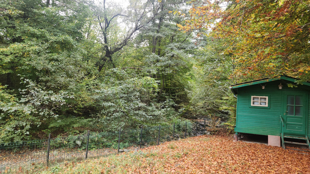 CASA DE VACANTA- VALEA AVRIGULUI-DE VANZARE