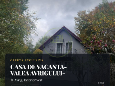 CASA DE VACANTA- VALEA AVRIGULUI-DE VANZARE