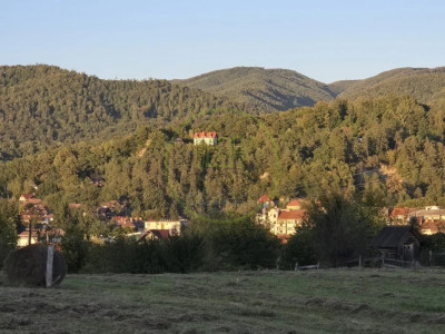 Teren de vânzare în Sovata - 1000 mp / Dealul Mestecănișului