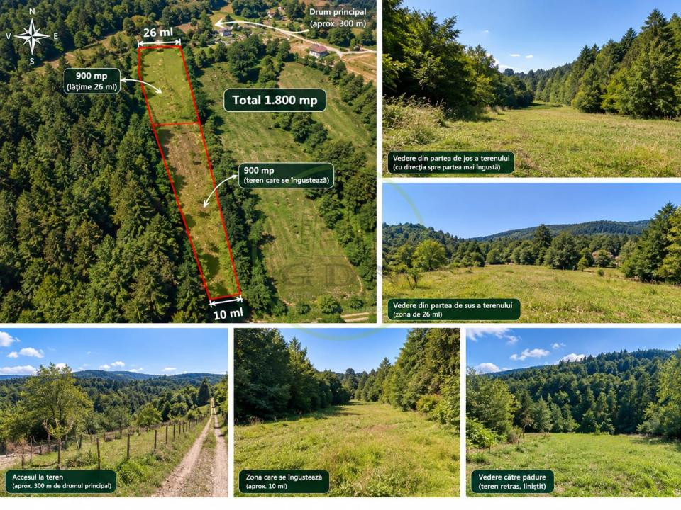 🌿 TEREN DE VÂNZARE ÎN POPLACA – 1.800 MP, RETRAS ÎNTRE PĂDURI! 🌳