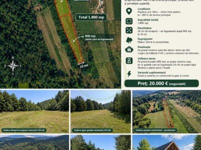 🌿 TEREN DE VÂNZARE ÎN POPLACA – 1.800 MP, RETRAS ÎNTRE PĂDURI! 🌳
