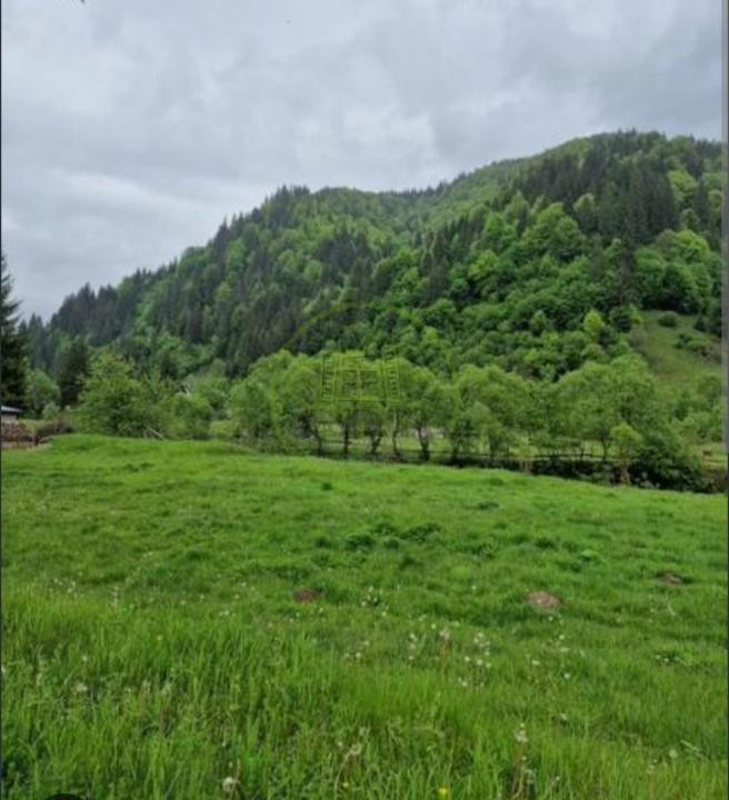 🌿 TEREN DE VÂNZARE LA IEȘIRE DIN POPLACA – PANORAMĂ SPRE PĂDURE ȘI ORAȘ! 🌳🏡