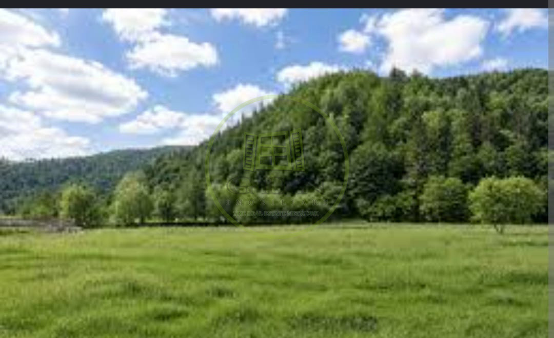 🌿 TEREN DE VÂNZARE LA IEȘIRE DIN POPLACA – PANORAMĂ SPRE PĂDURE ȘI ORAȘ! 🌳🏡