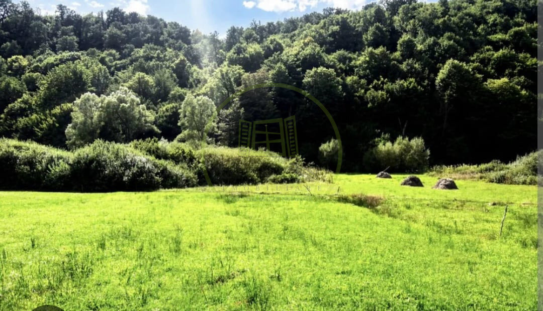 🌿 TEREN DE VÂNZARE LA IEȘIRE DIN POPLACA – PANORAMĂ SPRE PĂDURE ȘI ORAȘ! 🌳🏡