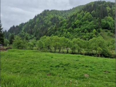 🌿 TEREN DE VÂNZARE LA IEȘIRE DIN POPLACA – PANORAMĂ SPRE PĂDURE ȘI ORAȘ! 🌳🏡