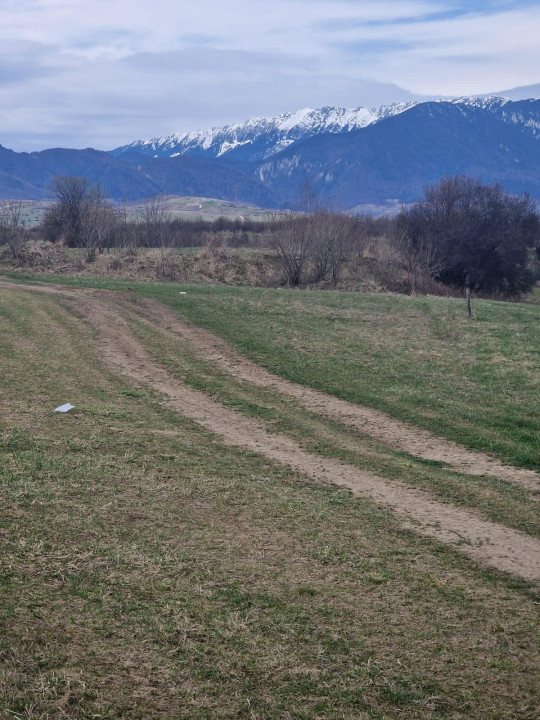 Teren extravilan, zona Panicel