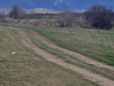 Teren extravilan, zona Panicel