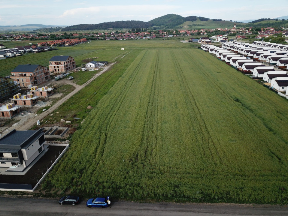 Teren intravilan Sanpetru, Str. George Cosbuc, PUZ aprobat