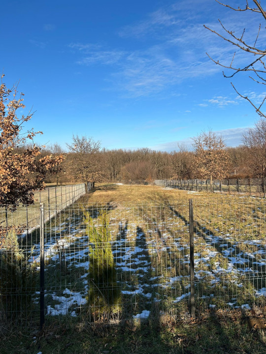 Vand Teren Intravilan, Tropinii Noi, Puz Aprobat, 595 mp