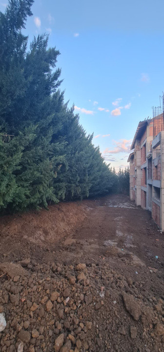 Au ramas doar doua case, casa 3 si casa 5, Cristian