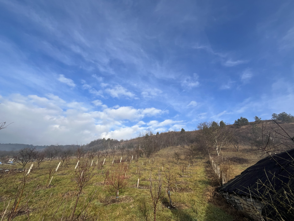 Teren cu casa renovabilă în Suceag