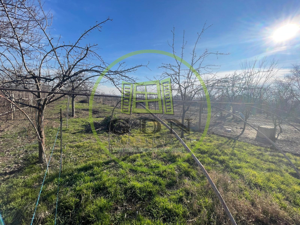 Casă impunătoare D+P+1 cu 709 mp teren și toate utilitățile în Balta Verde