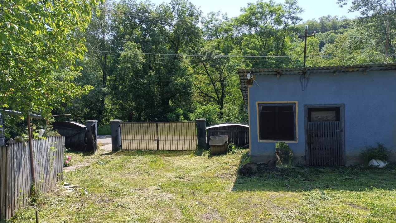 Casă de vânzare în satul Frunzeni, comuna Lunca 